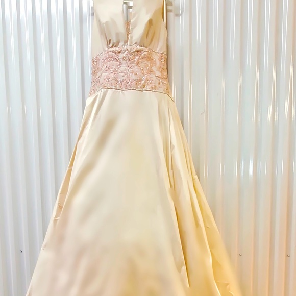 Pink 'Lace' Princess Dress - Picture 1 of 16